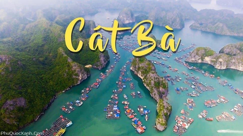 Kinh nghiệm đặt xe hợp đồng đi Cát Bà trọn vẹn cho cả gia đình